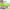 https://res.cloudinary.com/billionhands/image/upload/v1772033357/items/jmnmsh3igzcdl4xbcrv5.jpg-2cover