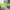 https://res.cloudinary.com/billionhands/image/upload/v1772033360/items/axkke1ocsn8ac4shiyum.jpg-1cover