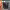 https://res.cloudinary.com/billionhands/image/upload/v1772033360/items/x8zhbiolj58fczammq1w.jpg-0cover