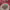 https://res.cloudinary.com/billionhands/image/upload/v1772033361/items/oj6jyz6xrirt4npvmqo0.jpg-3cover