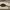 https://res.cloudinary.com/billionhands/image/upload/v1772033372/items/hdjsf3osq0pxrds3rzjv.jpg-3cover
