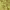 https://res.cloudinary.com/billionhands/image/upload/v1772033374/items/is22wsddx7cvxwta7abz.jpg-1cover