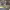 https://res.cloudinary.com/billionhands/image/upload/v1772033374/items/u49wpqouxxajmcsn82gn.jpg-1cover