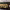 https://res.cloudinary.com/billionhands/image/upload/v1772033416/items/qjifo21snqkzdaednpsw.jpg-3cover