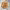https://res.cloudinary.com/billionhands/image/upload/v1772033429/items/fxhwmxc8oclpcq7tnu0n.webp-1cover