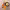 https://res.cloudinary.com/billionhands/image/upload/v1772033429/items/h96djkrbqe6onmlwfaei.webp-3cover