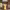 https://res.cloudinary.com/billionhands/image/upload/v1772033431/items/vhxaracbgblfydo4czih.jpg-2cover