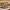 https://res.cloudinary.com/billionhands/image/upload/v1772033433/items/h55mrjejtr5fxwwkrfee.jpg-2cover
