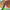 https://res.cloudinary.com/billionhands/image/upload/v1772033436/items/xtapfzvd7z92bpmeafqs.webp-1cover