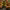 https://res.cloudinary.com/billionhands/image/upload/v1772033459/items/cgj7z3m4igvozlndlydv.jpg-3cover