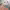 https://res.cloudinary.com/billionhands/image/upload/v1772033588/items/vz7cexmtmdmmaj2roe2v.jpg-3cover