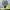https://res.cloudinary.com/billionhands/image/upload/v1772033647/items/qrhsfcsyhbxxwon0oi4k.jpg-0cover