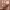 https://res.cloudinary.com/billionhands/image/upload/v1772033812/items/vdoi4uhmjujpajzwvzuo.jpg-0cover