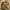 https://res.cloudinary.com/billionhands/image/upload/v1772033850/items/d3uu7psmtnghof0rpm9j.jpg-1cover