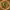 https://res.cloudinary.com/billionhands/image/upload/v1772033860/items/kiwrjqtk5kxqpxv1gccn.jpg-1cover