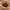 https://res.cloudinary.com/billionhands/image/upload/v1772033995/items/qh7shqskhmz0cvttaurs.jpg-2cover