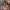 https://res.cloudinary.com/billionhands/image/upload/v1772034052/items/pmoqnllbgatc3fbxhaqy.jpg-3cover
