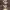 https://res.cloudinary.com/billionhands/image/upload/v1772034064/items/zecz2amxfwhdq8behem5.jpg-2cover