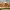 https://res.cloudinary.com/billionhands/image/upload/v1772034168/items/z1mromjsmcvyrzwlsuzj.jpg-2cover