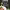 https://res.cloudinary.com/billionhands/image/upload/v1772034215/items/p2m4vq07sjnd3f1qcayl.jpg-3cover