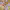 https://res.cloudinary.com/billionhands/image/upload/v1772034316/items/ocys3sgfkkstvjskiy0n.jpg-1cover