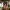 https://res.cloudinary.com/billionhands/image/upload/v1772034319/items/gdobd4zuvus0ut8g79rd.webp-3cover