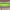 https://res.cloudinary.com/billionhands/image/upload/v1772034532/items/pqw8ijzxzvezvi387frc.jpg-2cover