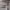 https://res.cloudinary.com/billionhands/image/upload/v1772034570/items/ebr9e0jbkph9vs8ml6m7.jpg-3cover