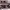 https://res.cloudinary.com/billionhands/image/upload/v1772034644/items/v8r6bkjbiggj5cgvbppa.jpg-2cover