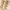 https://res.cloudinary.com/billionhands/image/upload/v1772034645/items/qqqoin560igmlucbfcxz.jpg-1cover