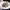 https://res.cloudinary.com/billionhands/image/upload/v1772034648/items/sh1ritptjteecbftdsqa.webp-2cover
