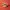https://res.cloudinary.com/billionhands/image/upload/v1772034670/items/cdsj1iruq1pdk3hsyhmt.jpg-1cover