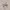 https://res.cloudinary.com/billionhands/image/upload/v1772035470/items/shk9oqdj7ofiwe2kw0lt.jpg-3cover
