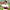 https://res.cloudinary.com/billionhands/image/upload/v1772090791/items/xulkc7faya00zrd7qshr.webp-1cover
