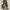 https://res.cloudinary.com/billionhands/image/upload/v1772104091/items/gxq7sqdvsoupwzbpo5gr.jpg-0cover