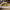 https://res.cloudinary.com/billionhands/image/upload/v1772104917/items/aczvej6ap7yytjd4whvp.jpg-3cover