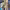 https://res.cloudinary.com/billionhands/image/upload/v1772104920/items/grsaxvn5hrup2qxgsbdo.jpg-0cover