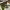 https://res.cloudinary.com/billionhands/image/upload/v1772104935/items/vaq3r3kyai8itxwegbx4.jpg-0cover