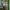 https://res.cloudinary.com/billionhands/image/upload/v1772104939/items/p0dtcuandargntpvnbg0.jpg-0cover