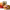 https://res.cloudinary.com/billionhands/image/upload/v1772105075/items/mdra4wkomckjuwj17xxi.webp-0cover