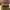 https://res.cloudinary.com/billionhands/image/upload/v1772105112/items/ymmquusvu1ppni9mapfz.jpg-3cover