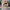 https://res.cloudinary.com/billionhands/image/upload/v1772105181/items/dqz8vqbvk5ssncb9lyln.jpg-1cover