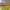 https://res.cloudinary.com/billionhands/image/upload/v1772105224/items/wffxusw5hi74mxkehaox.jpg-0cover