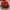 https://res.cloudinary.com/billionhands/image/upload/v1772105228/items/tsveargo4m98vhvdhnes.jpg-3cover