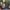 https://res.cloudinary.com/billionhands/image/upload/v1772105313/items/iy4qxpl75cfcmm2pnvru.jpg-1cover