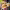 https://res.cloudinary.com/billionhands/image/upload/v1772105323/items/hncymunr0howcgzdry7f.png-3cover