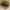 https://res.cloudinary.com/billionhands/image/upload/v1772105374/items/bjqyr3wp7bn8ewv69jte.jpg-2cover