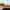 https://res.cloudinary.com/billionhands/image/upload/v1772105425/items/l8ayy7minlf8xmdowet2.jpg-2cover