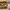 https://res.cloudinary.com/billionhands/image/upload/v1772105430/items/ctfcwtibc8ptm2t1jajq.jpg-1cover
