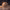 https://res.cloudinary.com/billionhands/image/upload/v1772105457/items/mmqo8rbtqjzl1ciiuwuj.webp-3cover